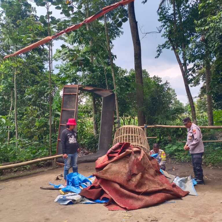 WhatsApp Image 2026-02-07 at 15.56.38