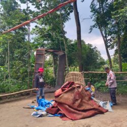 WhatsApp Image 2026-02-07 at 15.56.38