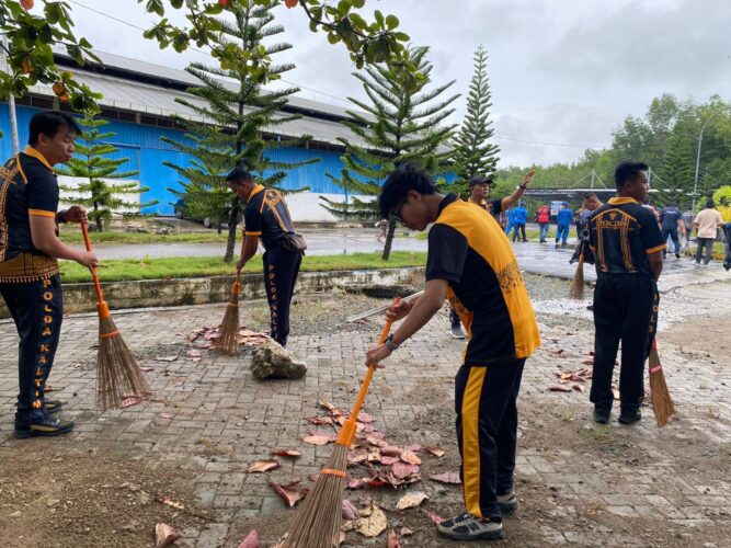 WhatsApp Image 2026-02-07 at 19.31.45