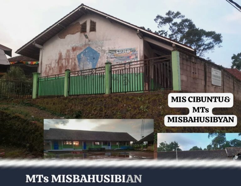 WhatsApp Image 2026-02-08 at 06.17.10