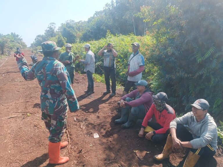 WhatsApp Image 2026-02-08 at 10.31.23