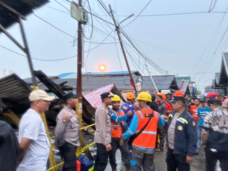 WhatsApp Image 2026-02-08 at 19.35.11