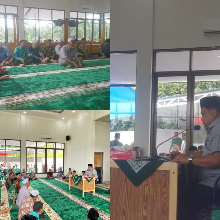 WhatsApp Image 2026-02-08 at 19.48.34