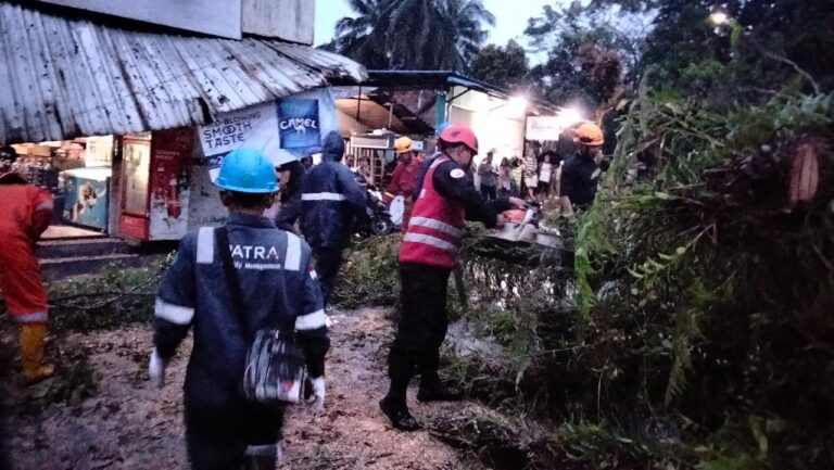 WhatsApp Image 2026-02-08 at 20.10.18