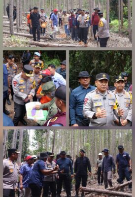 WhatsApp Image 2026-02-08 at 20.33.06