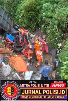 WhatsApp Image 2026-02-08 at 22.04.07