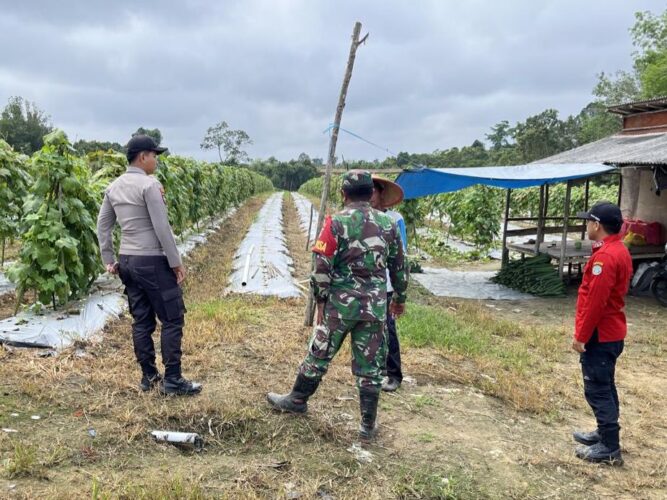 WhatsApp Image 2026-02-09 at 18.54.59