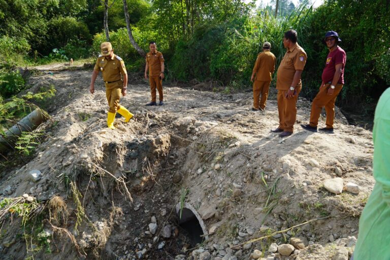 WhatsApp Image 2026-02-09 at 19.53.32