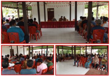 WhatsApp Image 2026-02-09 at 20.32.48