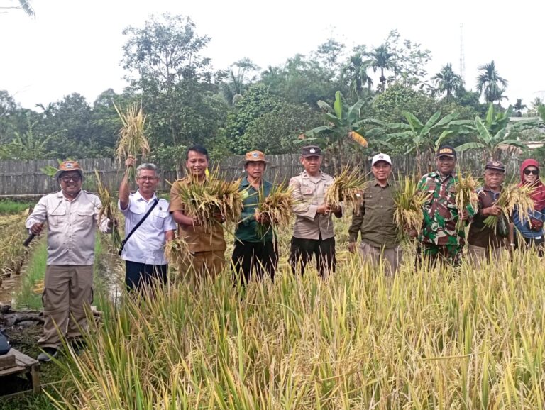 WhatsApp Image 2026-02-10 at 09.05.07