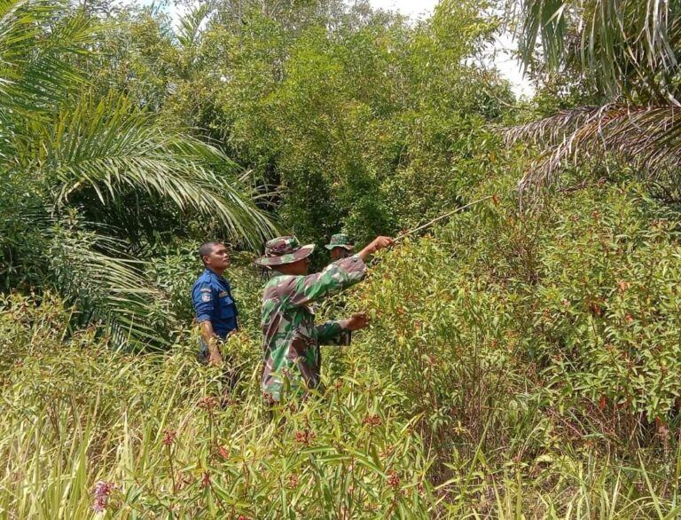 WhatsApp Image 2026-02-10 at 12.40.51