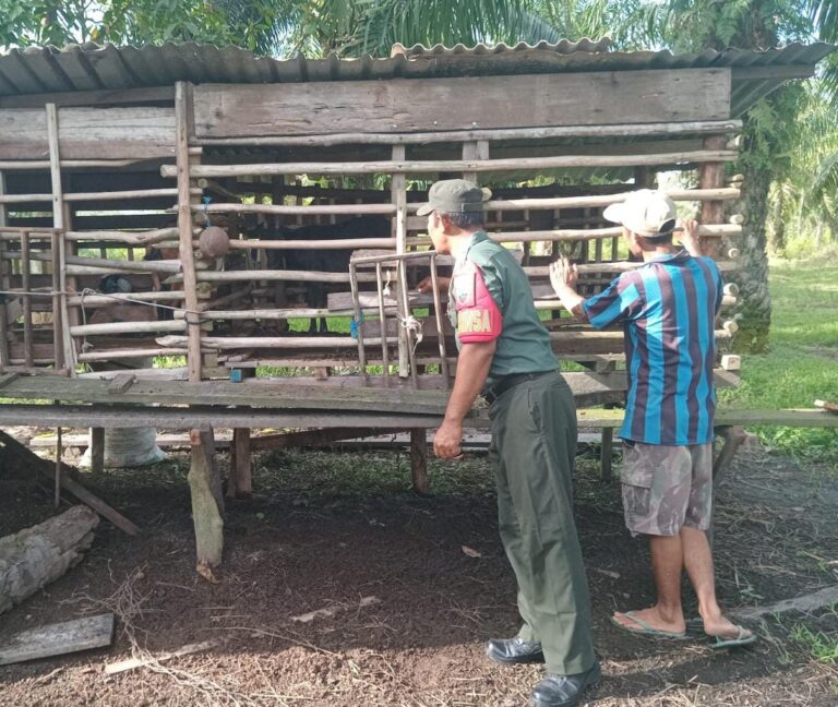 WhatsApp Image 2026-02-10 at 12.42.32