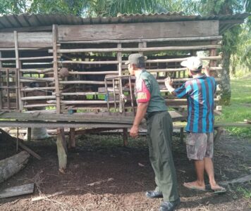 WhatsApp Image 2026-02-10 at 12.42.32