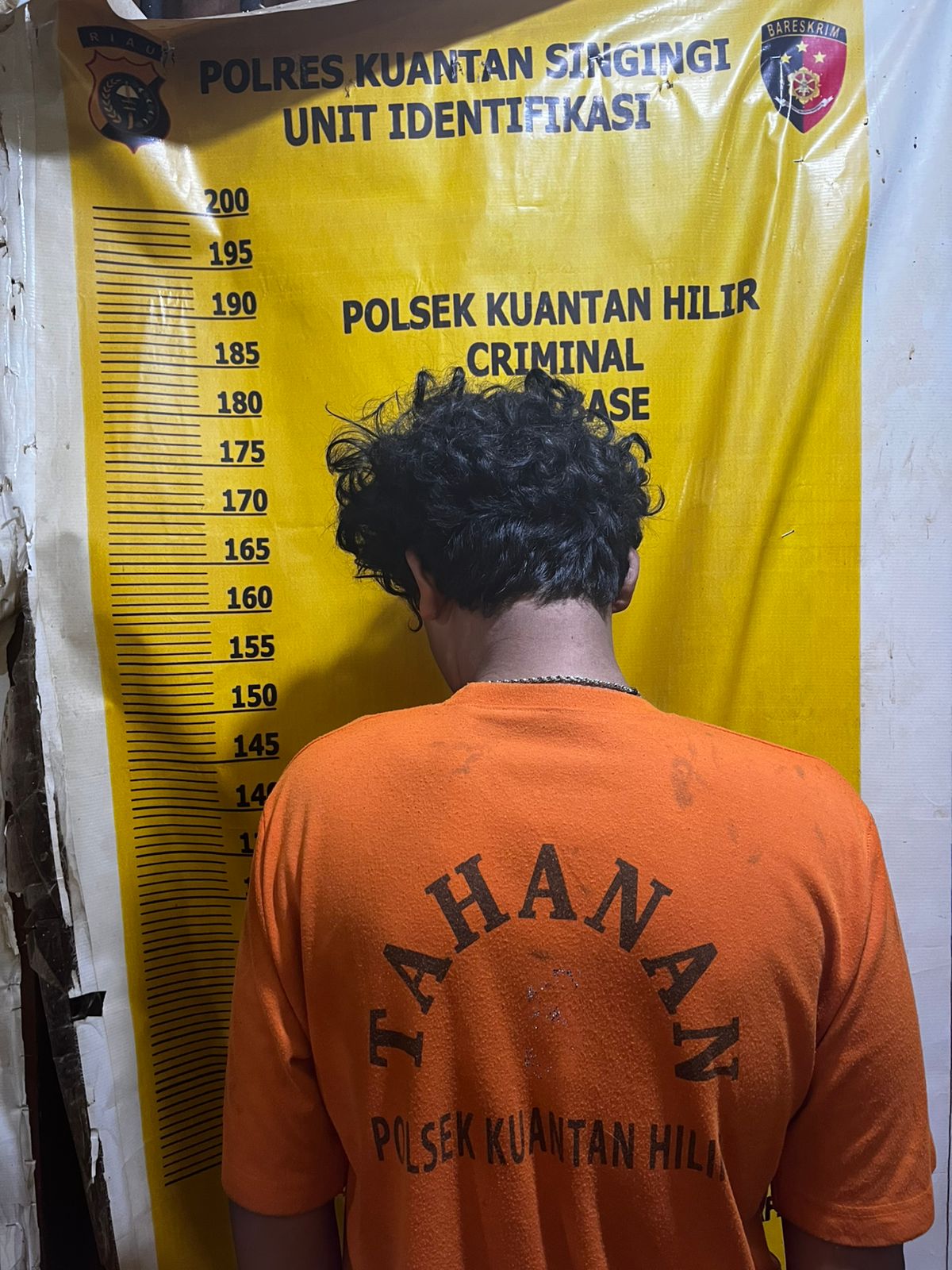 WhatsApp Image 2026-02-10 at 13.33.14