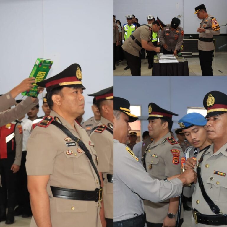 WhatsApp Image 2026-02-10 at 15.27.40