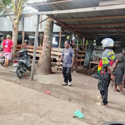 WhatsApp Image 2026-02-10 at 17.23.28