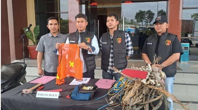 WhatsApp Image 2026-02-10 at 21.09.10