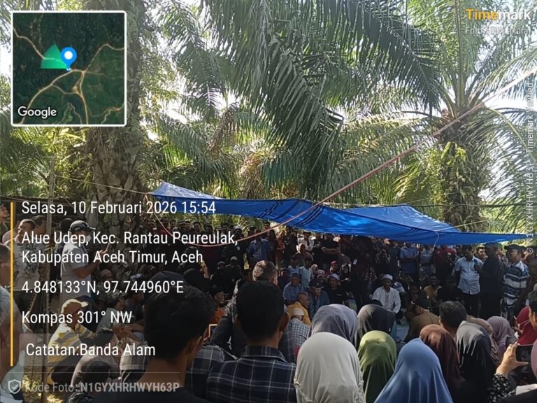 WhatsApp Image 2026-02-11 at 06.49.09