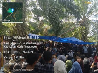 WhatsApp Image 2026-02-11 at 06.49.09