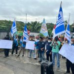 WhatsApp Image 2026-02-11 at 08.45.40