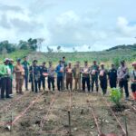 WhatsApp Image 2026-02-11 at 11.15.39