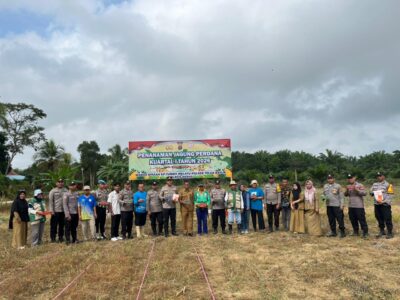 WhatsApp Image 2026-02-11 at 11.17.03