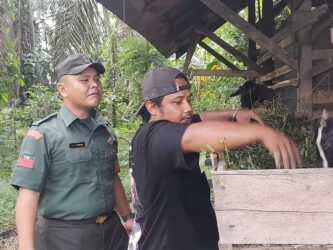 WhatsApp Image 2026-02-11 at 11.30.53