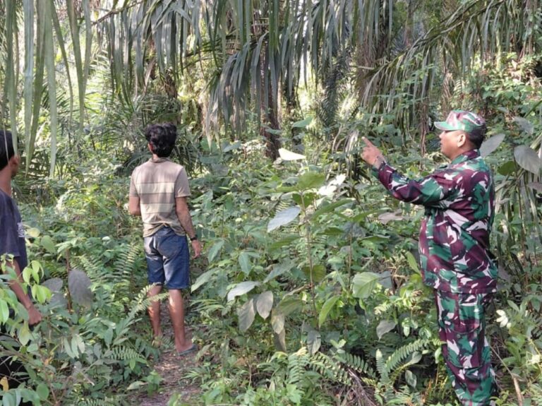 WhatsApp Image 2026-02-11 at 11.34.16