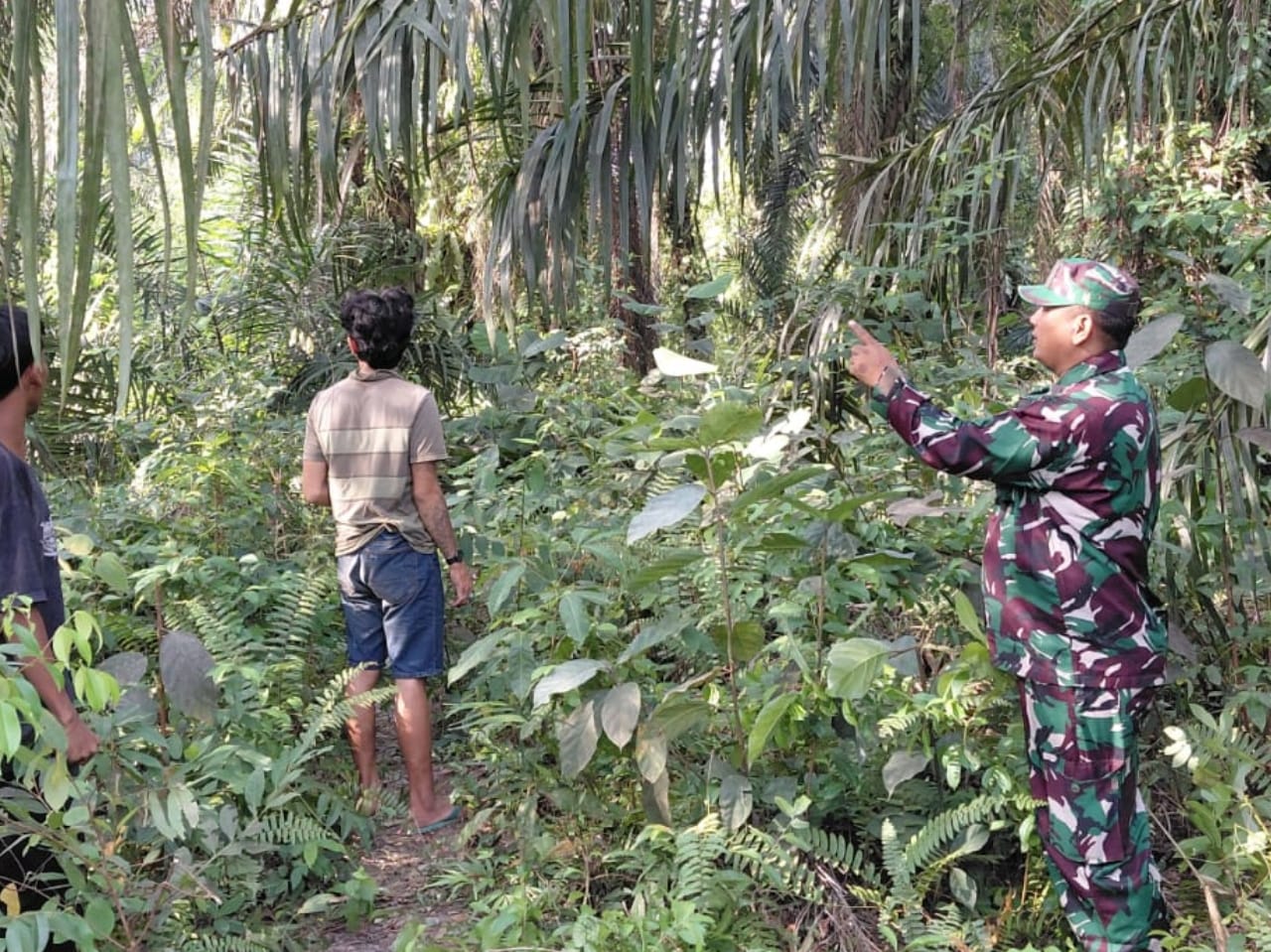 WhatsApp Image 2026-02-11 at 11.34.16