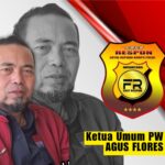 WhatsApp Image 2026-02-11 at 12.40.22