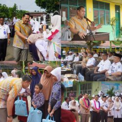 WhatsApp Image 2026-02-11 at 12.41.34