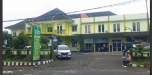 WhatsApp Image 2026-02-11 at 13.55.37