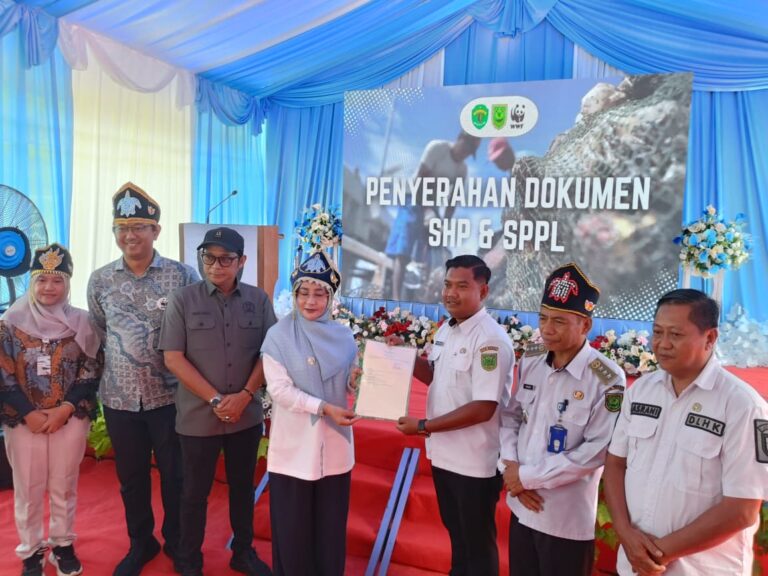 WhatsApp Image 2026-02-11 at 15.01.55