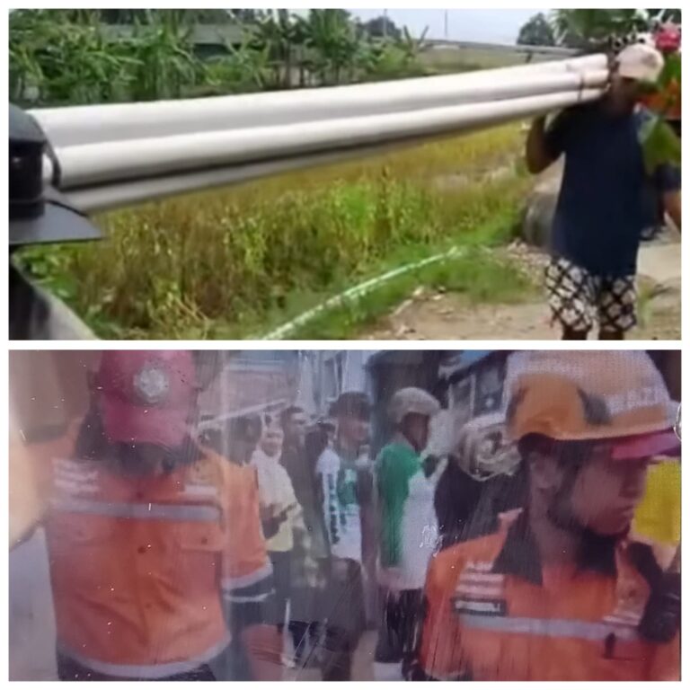 WhatsApp Image 2026-02-11 at 16.21.42