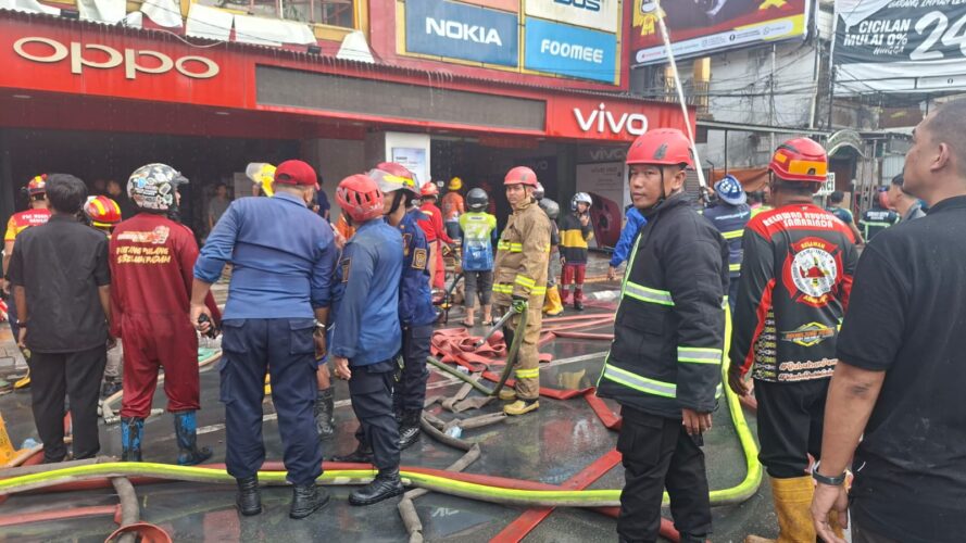 WhatsApp Image 2026-02-11 at 18.46.04