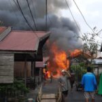 WhatsApp Image 2026-02-11 at 18.48.27