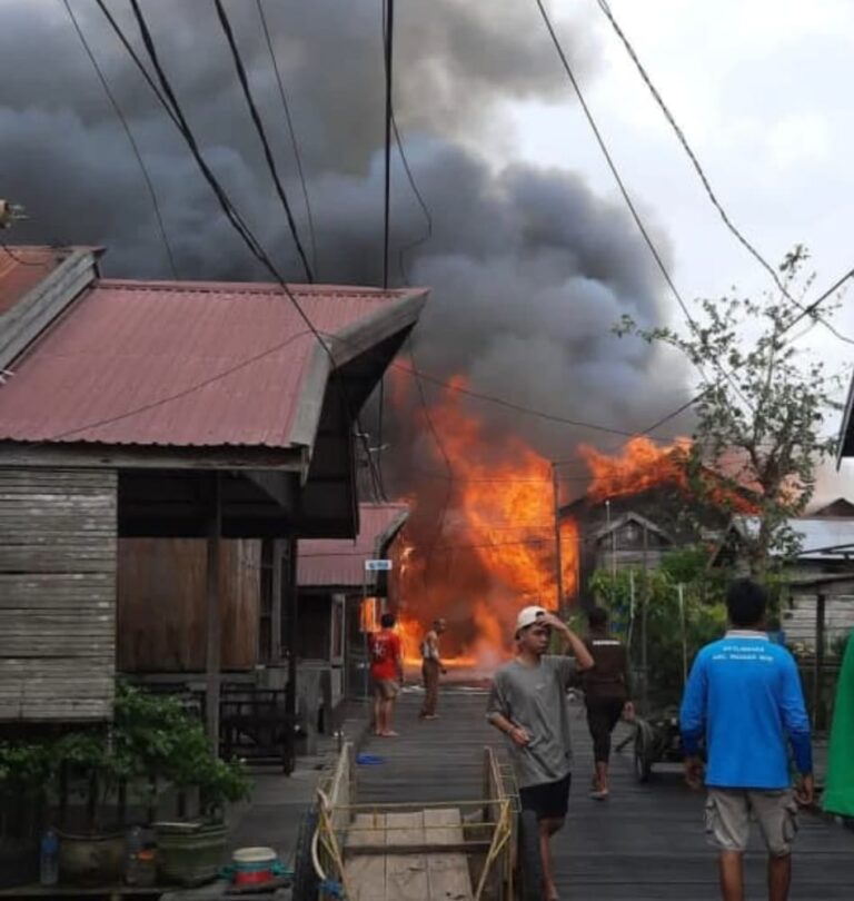 WhatsApp Image 2026-02-11 at 18.48.27