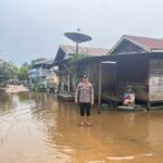 WhatsApp Image 2026-02-11 at 18.50.18