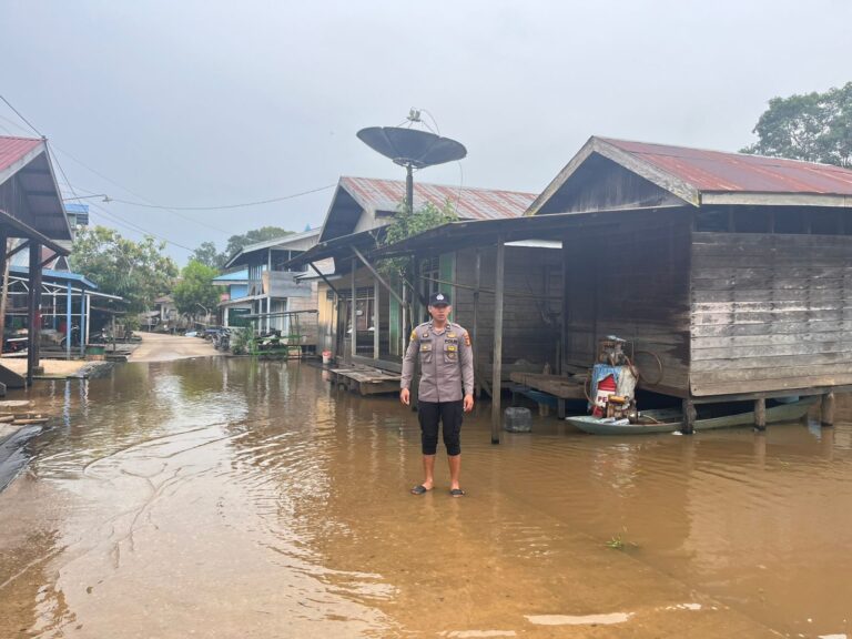 WhatsApp Image 2026-02-11 at 18.50.18