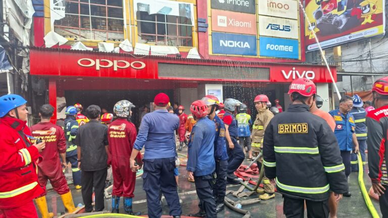 WhatsApp Image 2026-02-11 at 19.36.16