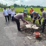 WhatsApp Image 2026-02-11 at 19.41.40