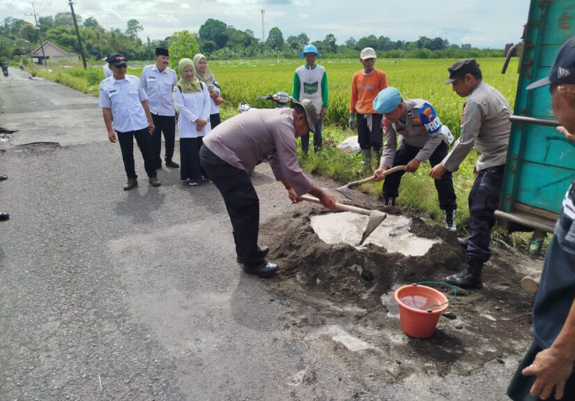 WhatsApp Image 2026-02-11 at 19.41.40