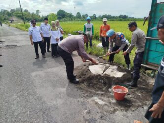 WhatsApp Image 2026-02-11 at 19.41.40