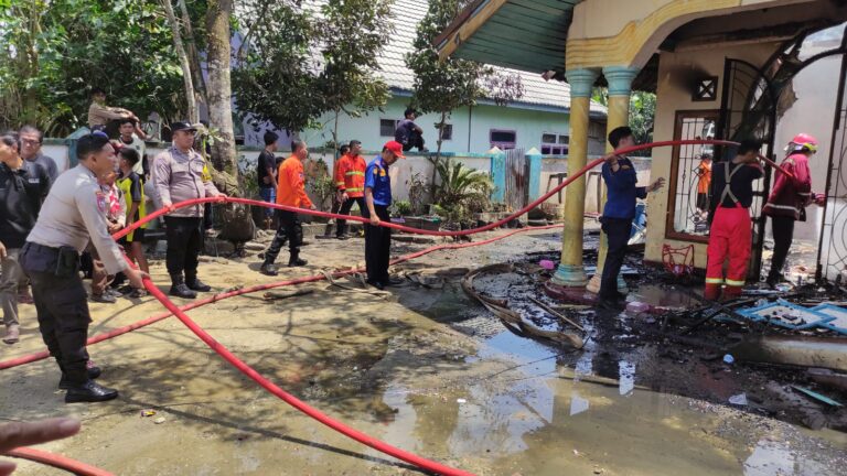 WhatsApp Image 2026-02-12 at 02.48.04