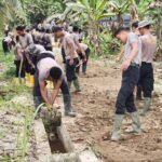 WhatsApp Image 2026-02-12 at 07.32.19