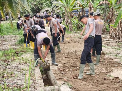 WhatsApp Image 2026-02-12 at 07.32.19