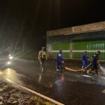 WhatsApp Image 2026-02-12 at 08.09.50