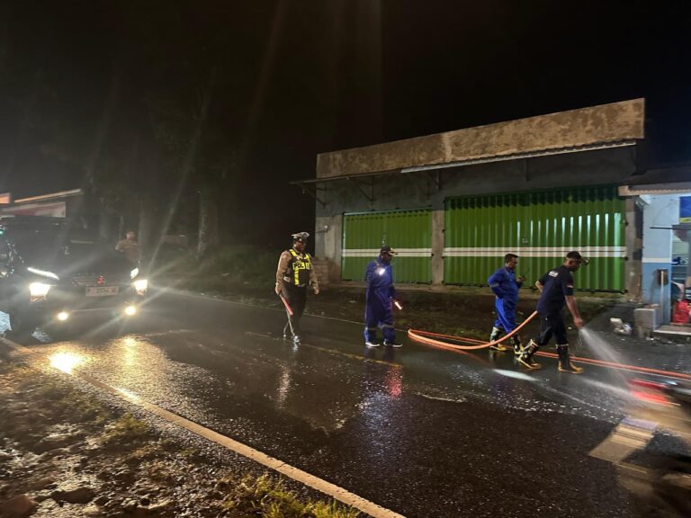 WhatsApp Image 2026-02-12 at 08.09.50