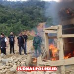 WhatsApp Image 2026-02-12 at 10.35.57