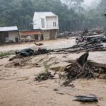 WhatsApp Image 2026-02-12 at 11.55.29